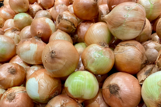 The Onion is the Kitchen