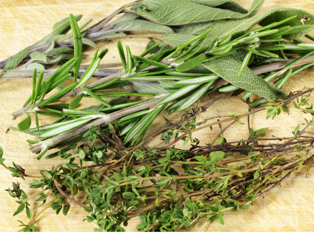 The Magic of Fresh Herbs